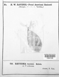 Image Associated With the Occurence